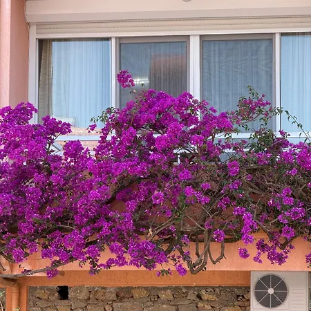 Duplex House On The Castle Road With A Seaview Alanya